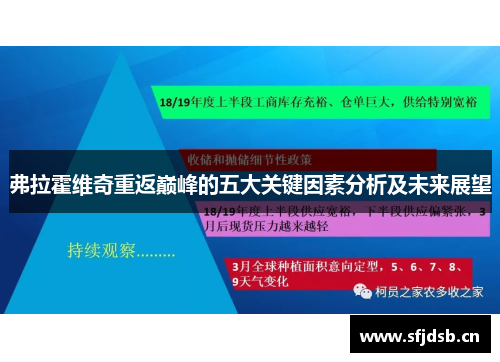 弗拉霍维奇重返巅峰的五大关键因素分析及未来展望
